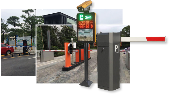 十年磨一剑成就业内品牌